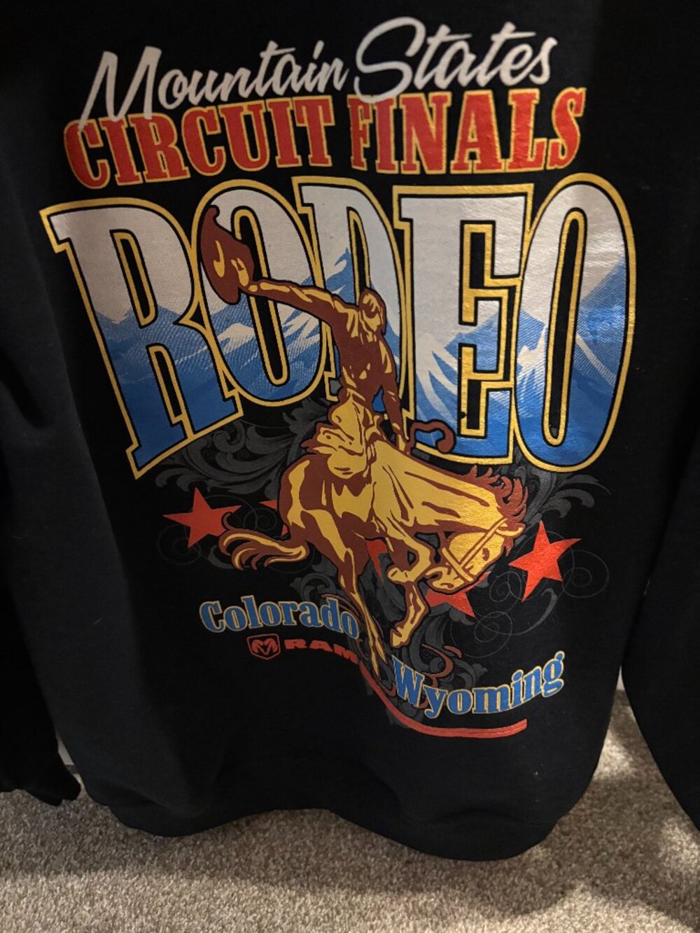 Fabulous lookin Mountain States Circuit Finals Rodeo Hoodie